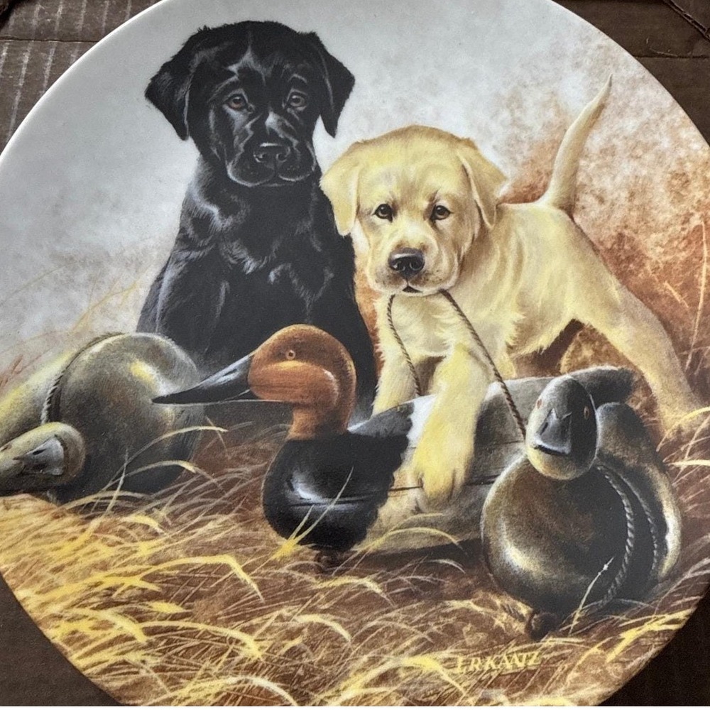 Edwin Knowles A Perfect Set Labrador Retrievers Plate Lynn Kaatz 1988 84-K41-